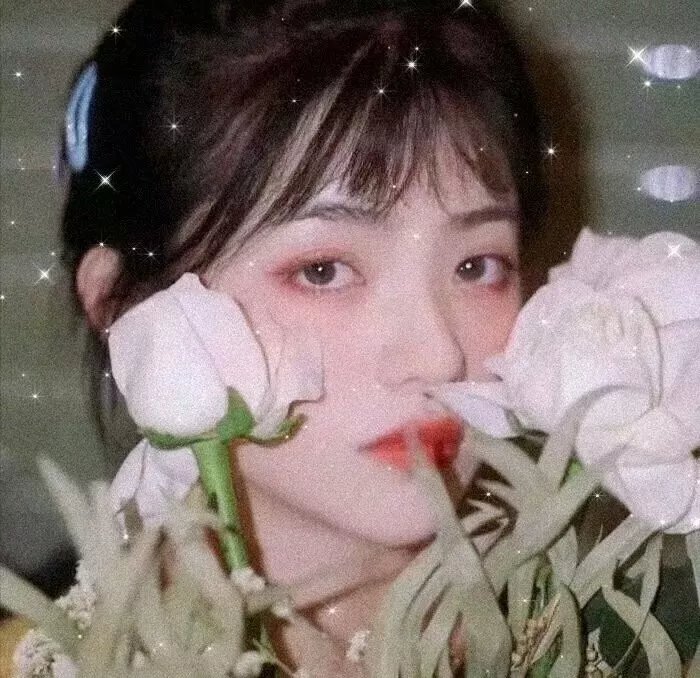 玫瑰之名